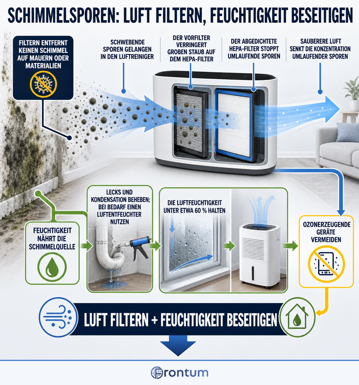 schimmelsporen-luft-filtern-feuchtigkeit-beseitigen-infographic-de