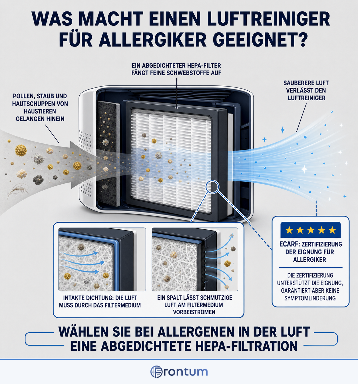 was-macht-einen-luftreiniger-fur-allergiker-geeignet-infographic-de